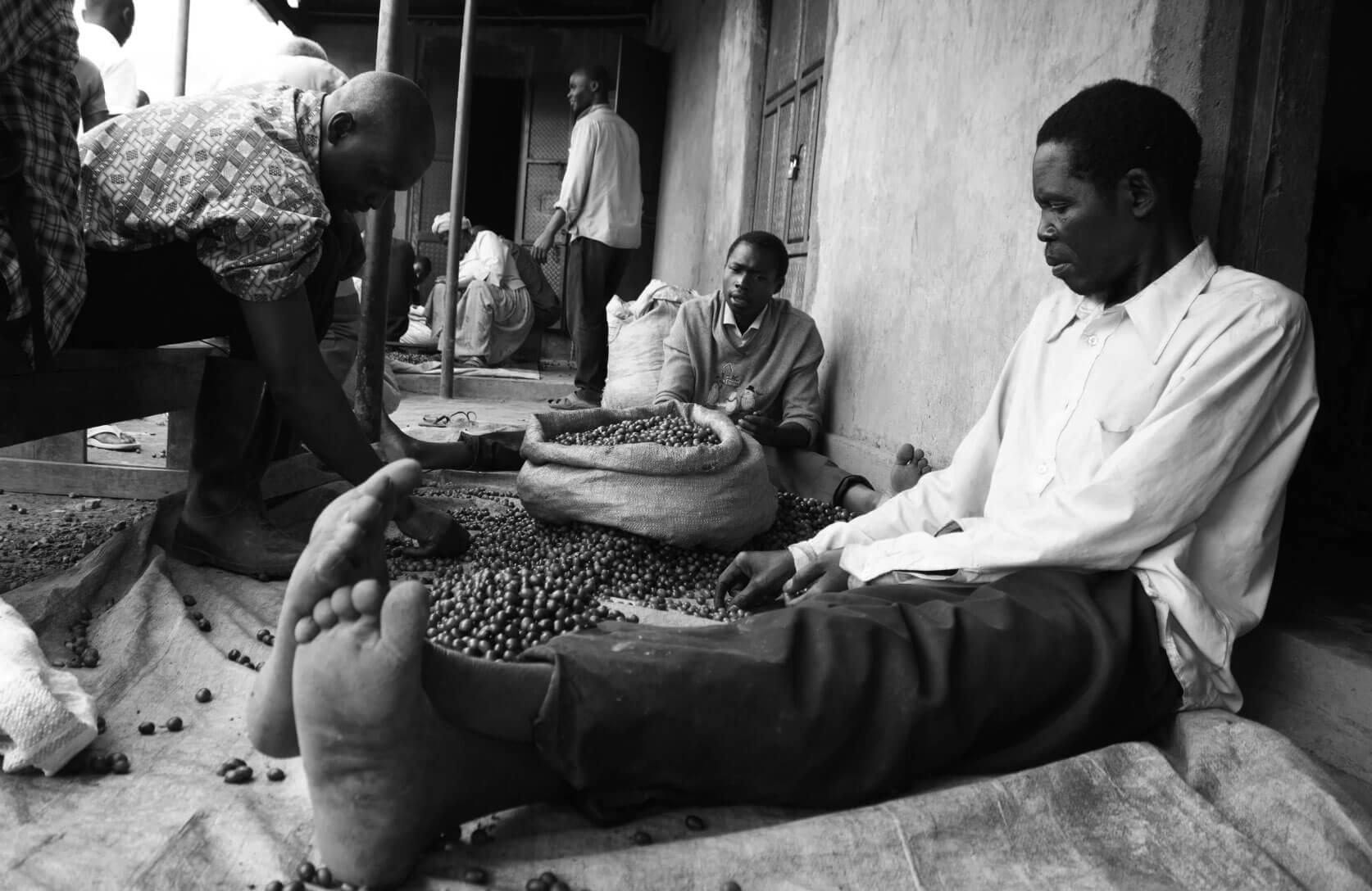 Coffee processing